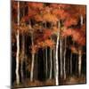 October Woods-Julia Purinton-Mounted Art Print