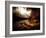 October-Stephen Arens-Framed Photographic Print