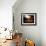 October-Stephen Arens-Framed Photographic Print displayed on a wall