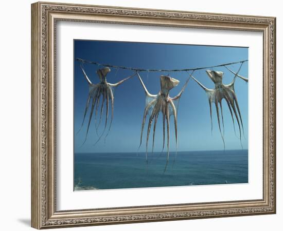 Octopi Hung Out to Dry, Nerja, Costa Del Sol, Andalucia, Spain, Europe-Robert Francis-Framed Photographic Print