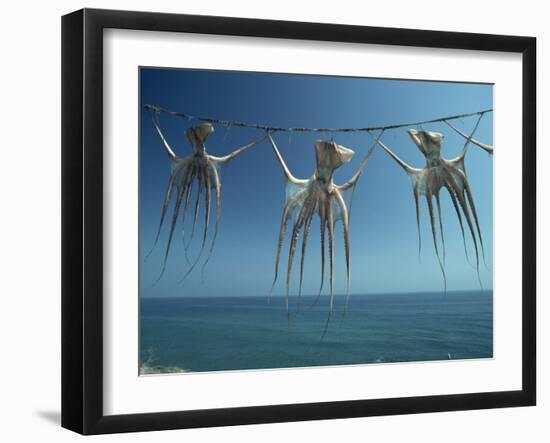 Octopi Hung Out to Dry, Nerja, Costa Del Sol, Andalucia, Spain, Europe-Robert Francis-Framed Photographic Print