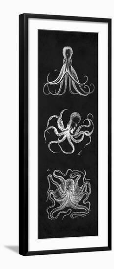 Octopi Study-N. Harbick-Framed Art Print