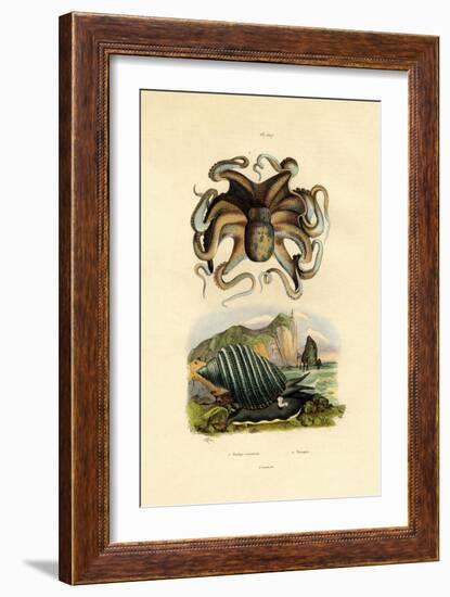 Octopus, 1833-39-null-Framed Giclee Print