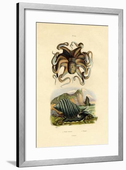 Octopus, 1833-39-null-Framed Giclee Print