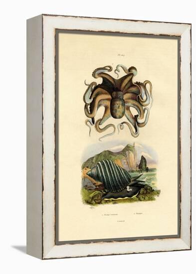 Octopus, 1833-39-null-Framed Premier Image Canvas