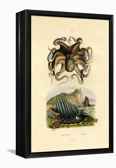 Octopus, 1833-39-null-Framed Premier Image Canvas