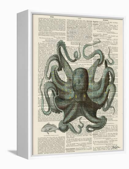 Octopus 1-Tina Carlson-Framed Stretched Canvas