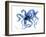 Octopus 4-Suren Nersisyan-Framed Art Print