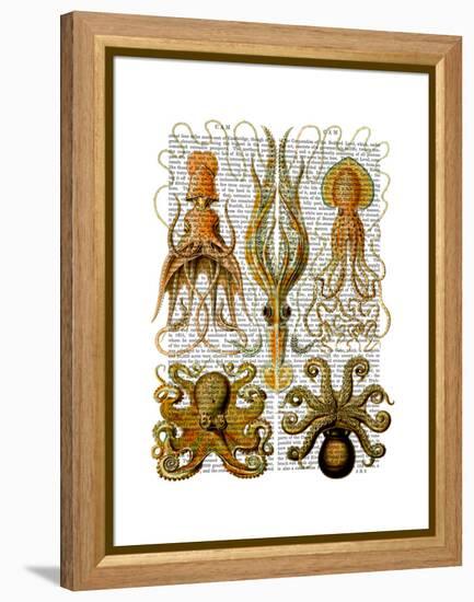 Octopus and squid-Fab Funky-Framed Stretched Canvas