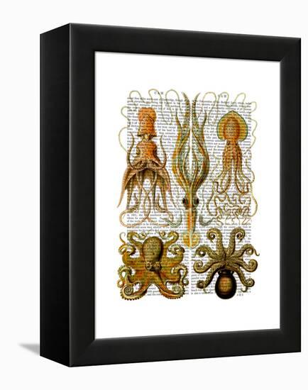 Octopus and squid-Fab Funky-Framed Stretched Canvas