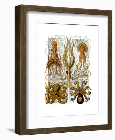 Octopus and squid-Fab Funky-Framed Art Print