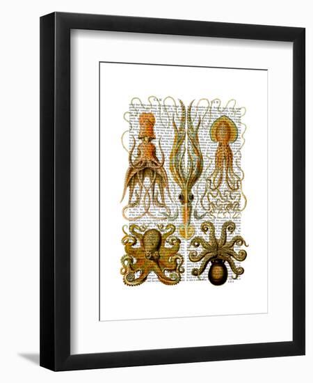 Octopus and squid-Fab Funky-Framed Art Print