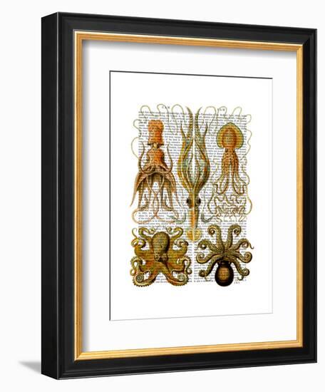 Octopus and squid-Fab Funky-Framed Art Print