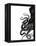 Octopus Black and White a-Fab Funky-Framed Stretched Canvas