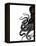 Octopus Black and White a-Fab Funky-Framed Stretched Canvas