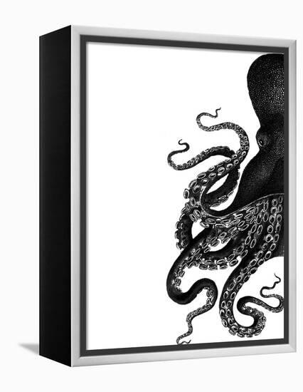 Octopus Black and White a-Fab Funky-Framed Stretched Canvas