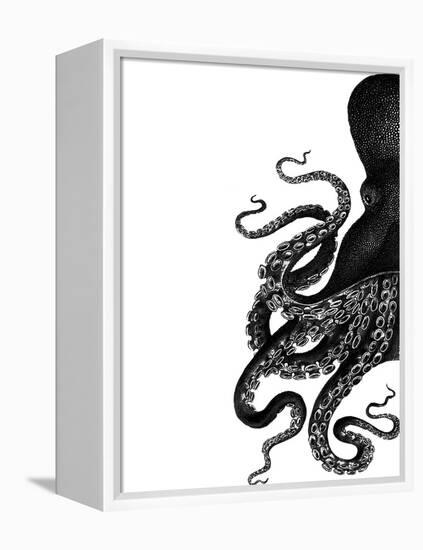 Octopus Black and White a-Fab Funky-Framed Stretched Canvas