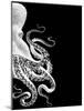 Octopus Black and White b-Fab Funky-Mounted Art Print