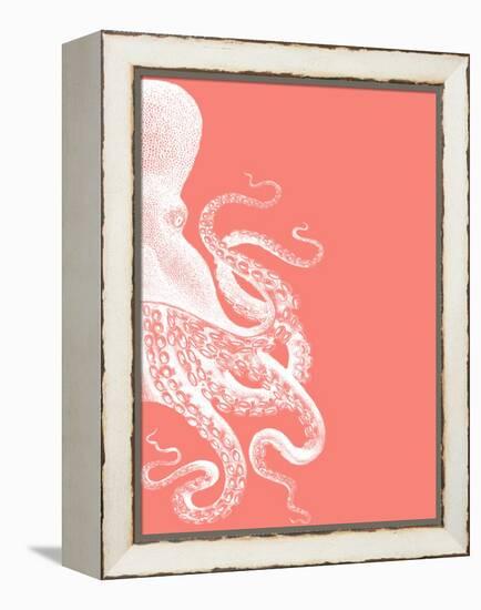 Octopus Coral and Cream b-Fab Funky-Framed Stretched Canvas