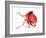 Octopus Deep Red-Suren Nersisyan-Framed Art Print