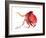 Octopus Deep Red-Suren Nersisyan-Framed Art Print