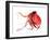 Octopus Deep Red-Suren Nersisyan-Framed Art Print