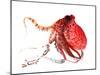 Octopus Deep Red-Suren Nersisyan-Mounted Art Print