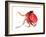 Octopus Deep Red-Suren Nersisyan-Framed Art Print