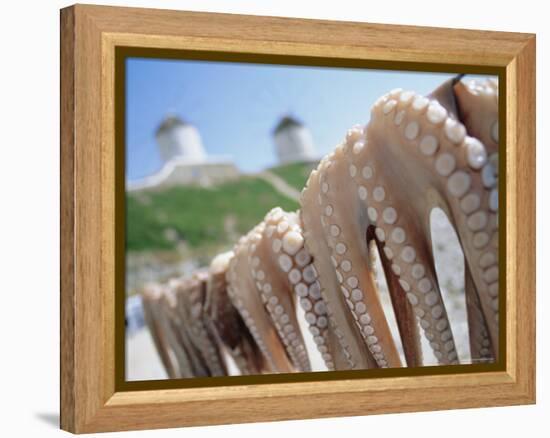 Octopus Drying in the Sun, Mykonos, Cyclades Islands, Greece, Europe-Lee Frost-Framed Premier Image Canvas