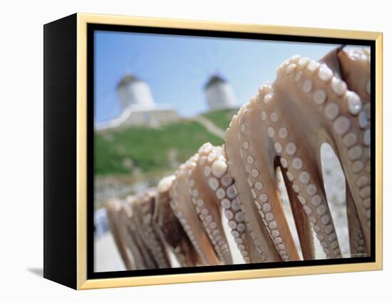 Octopus Drying in the Sun, Mykonos, Cyclades Islands, Greece, Europe-Lee Frost-Framed Premier Image Canvas