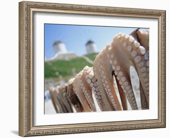 Octopus Drying in the Sun, Mykonos, Cyclades Islands, Greece, Europe-Lee Frost-Framed Photographic Print