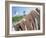 Octopus Drying in the Sun, Mykonos, Cyclades Islands, Greece, Europe-Lee Frost-Framed Photographic Print