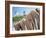 Octopus Drying in the Sun, Mykonos, Cyclades Islands, Greece, Europe-Lee Frost-Framed Photographic Print