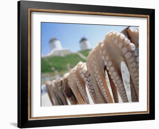 Octopus Drying in the Sun, Mykonos, Cyclades Islands, Greece, Europe-Lee Frost-Framed Photographic Print