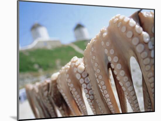 Octopus Drying in the Sun, Mykonos, Cyclades Islands, Greece, Europe-Lee Frost-Mounted Photographic Print