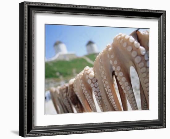 Octopus Drying in the Sun, Mykonos, Cyclades Islands, Greece, Europe-Lee Frost-Framed Photographic Print