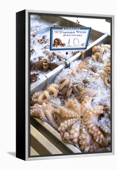 Octopus in the Market, Kalymnos, Dodecanese, Greek Islands, Greece, Europe-Neil Farrin-Framed Premier Image Canvas