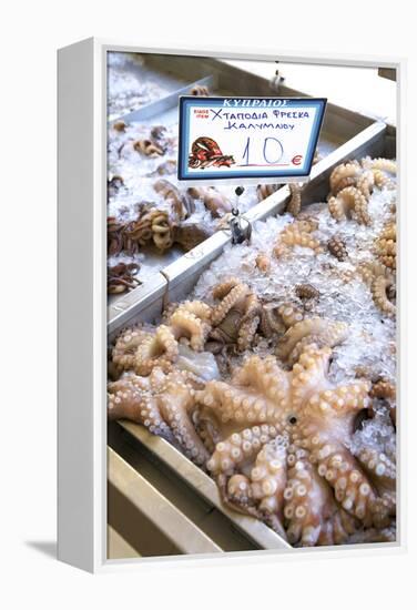 Octopus in the Market, Kalymnos, Dodecanese, Greek Islands, Greece, Europe-Neil Farrin-Framed Premier Image Canvas