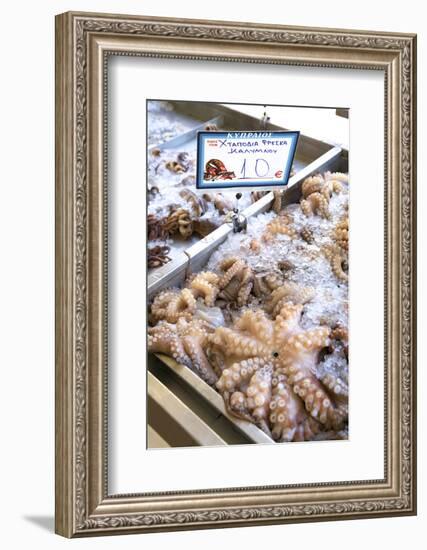 Octopus in the Market, Kalymnos, Dodecanese, Greek Islands, Greece, Europe-Neil Farrin-Framed Photographic Print