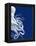 Octopus Navy Blue and Cream b-Fab Funky-Framed Stretched Canvas