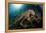 Octopus (Octopus Vulgaris)-Reinhard Dirscherl-Framed Premier Image Canvas