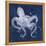 Octopus Shadow I-Grace Popp-Framed Stretched Canvas