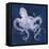 Octopus Shadow I-Grace Popp-Framed Stretched Canvas