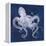 Octopus Shadow I-Grace Popp-Framed Stretched Canvas