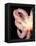 Octopus-Victor Habbick-Framed Premier Image Canvas