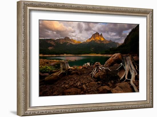 Octopus-Renato J.-Framed Photographic Print