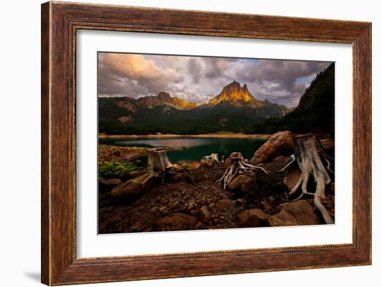 Octopus-Renato J.-Framed Photographic Print