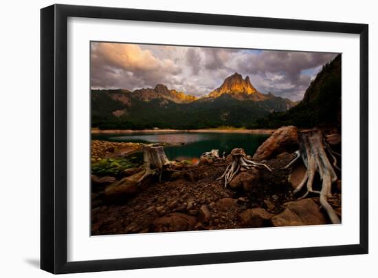 Octopus-Renato J.-Framed Photographic Print