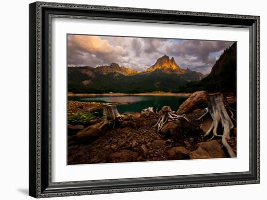 Octopus-Renato J.-Framed Photographic Print