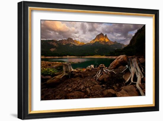 Octopus-Renato J.-Framed Photographic Print